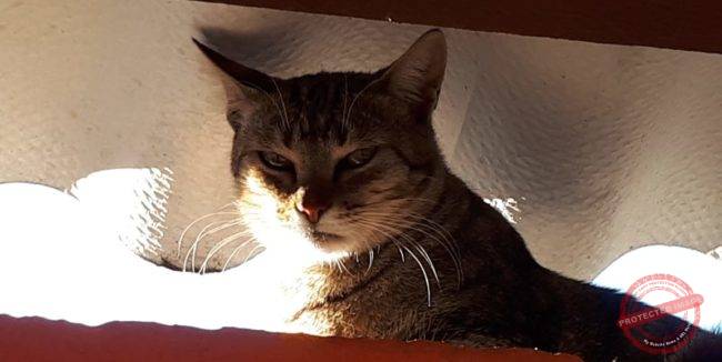 WhatsApp Image 2019-02-03 at 19.23.56