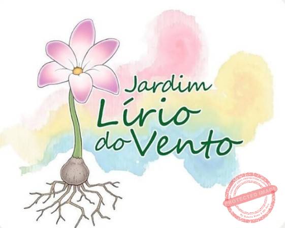 lirio
