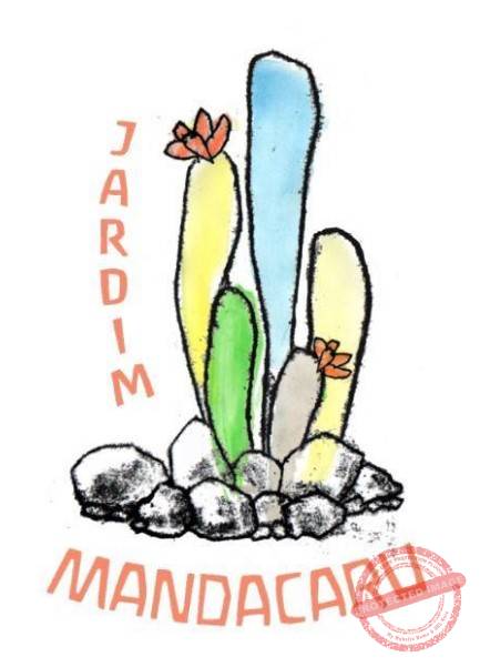 mandacaru2