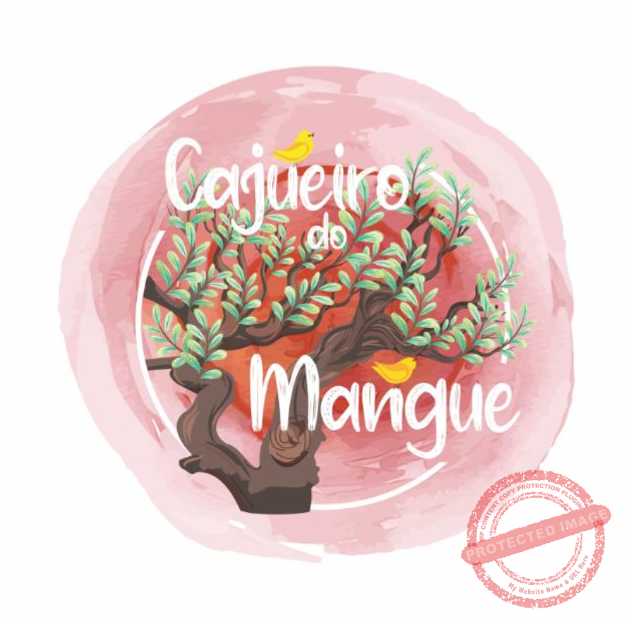 (NOVO) Escola Cajueiro do Mangue de Santa Cruz de Cabrália BA