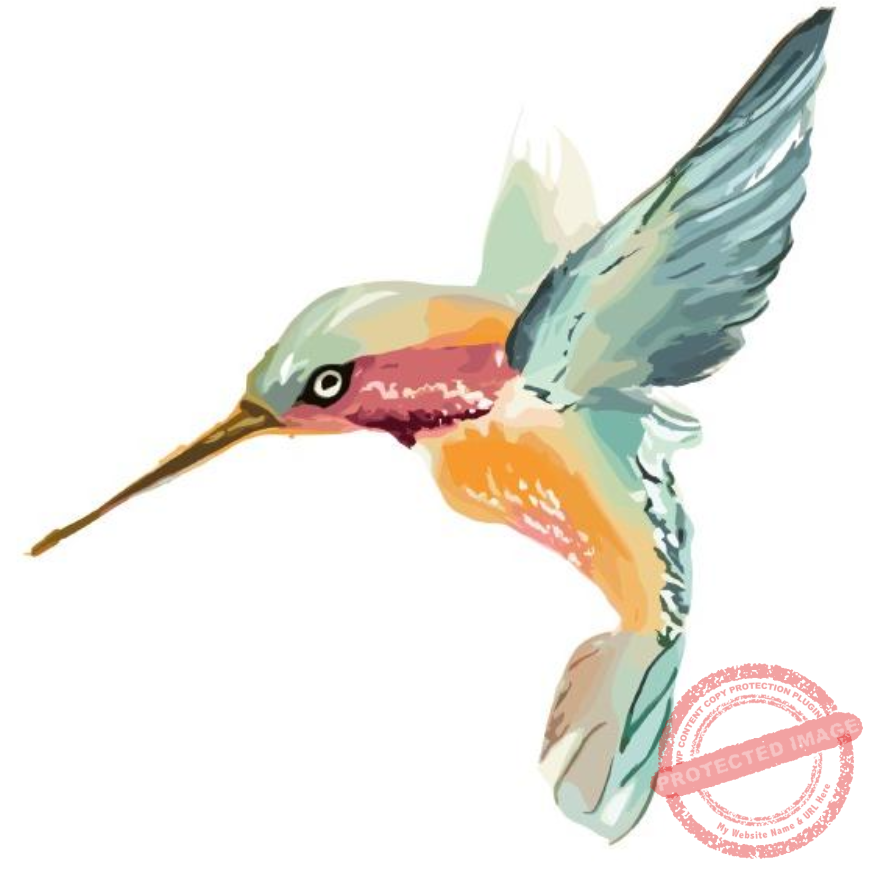 Escola Primavera Waldorf de Ponta Grossa PR